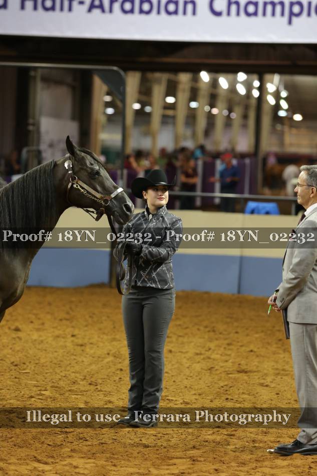 Proof 18YN_02232