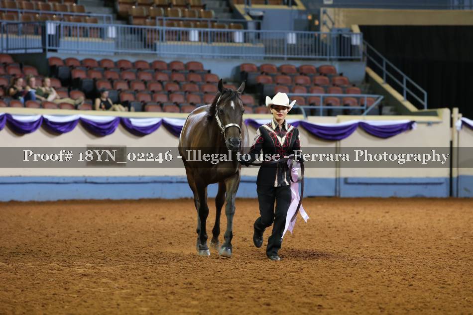 Proof 18YN_02246