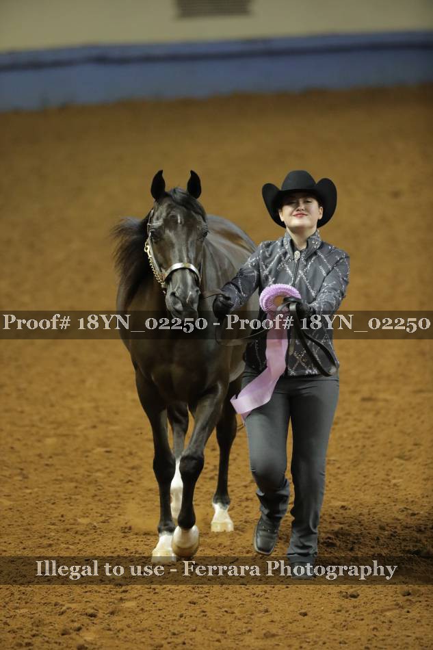 Proof 18YN_02250