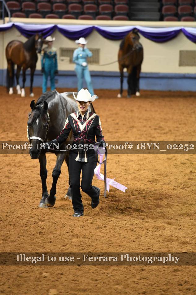 Proof 18YN_02252