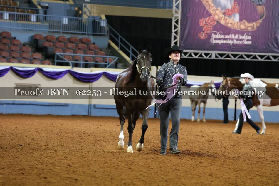 Proof 18YN_02253