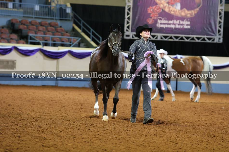 Proof 18YN_02254