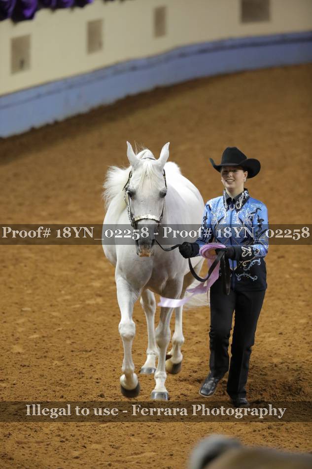 Proof 18YN_02258