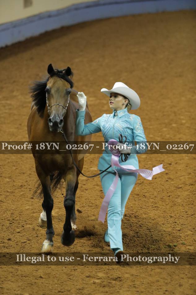 Proof 18YN_02267