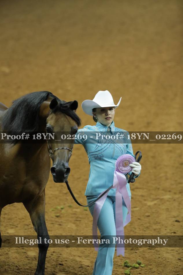 Proof 18YN_02269