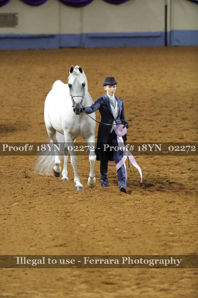 Proof 18YN_02272