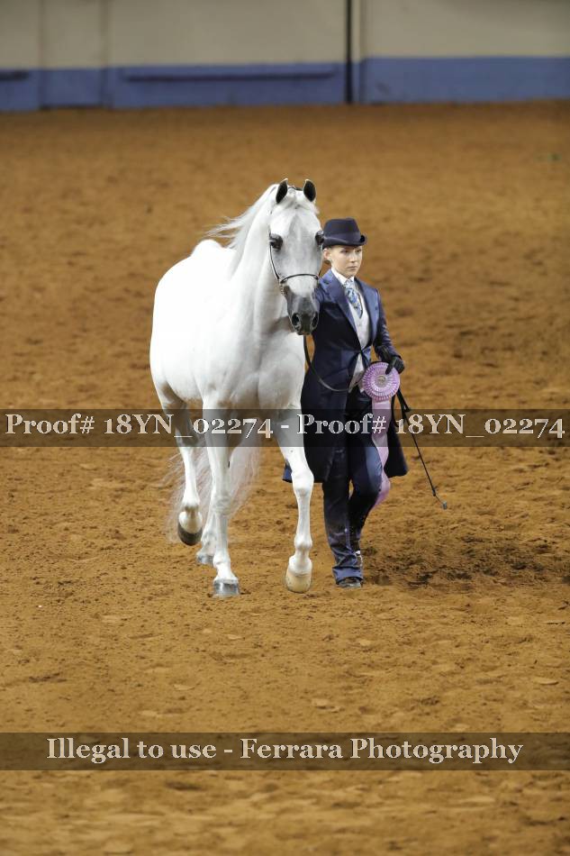 Proof 18YN_02274
