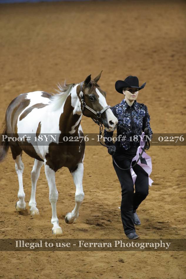 Proof 18YN_02276