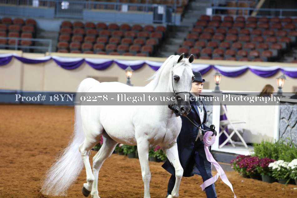 Proof 18YN_02278