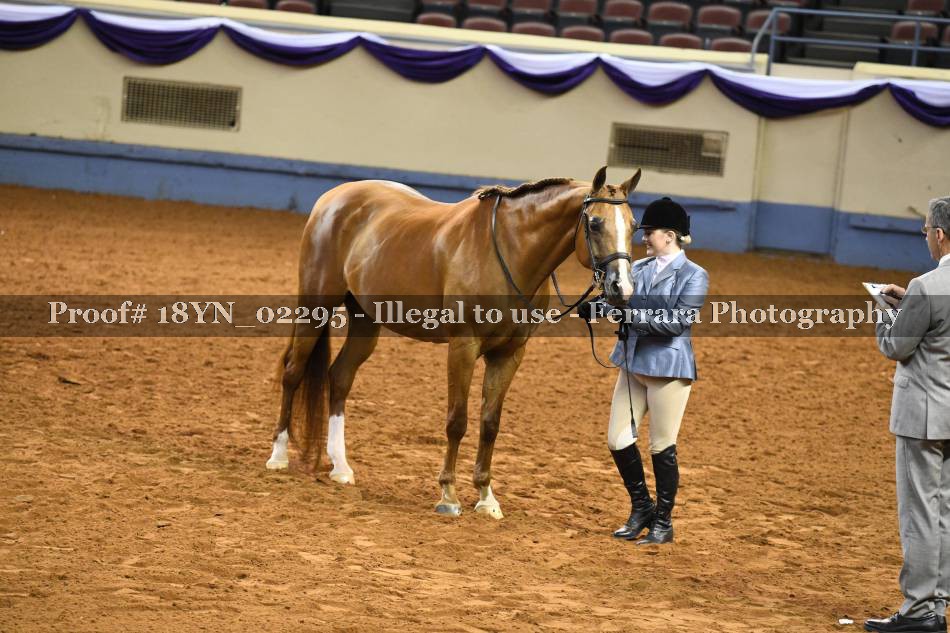 Proof 18YN_02295