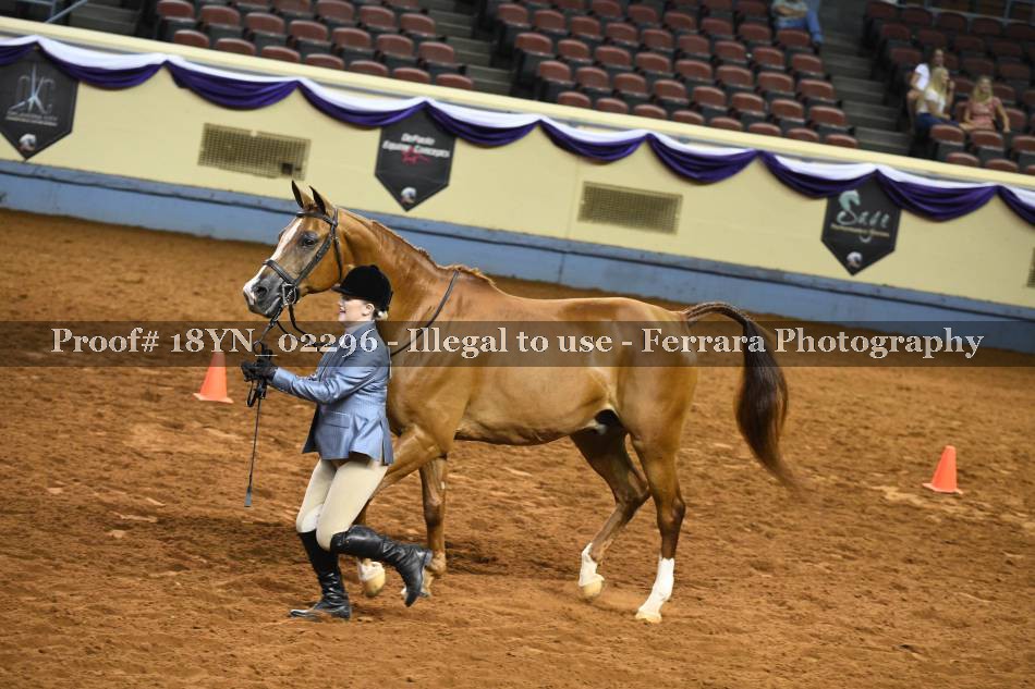 Proof 18YN_02296