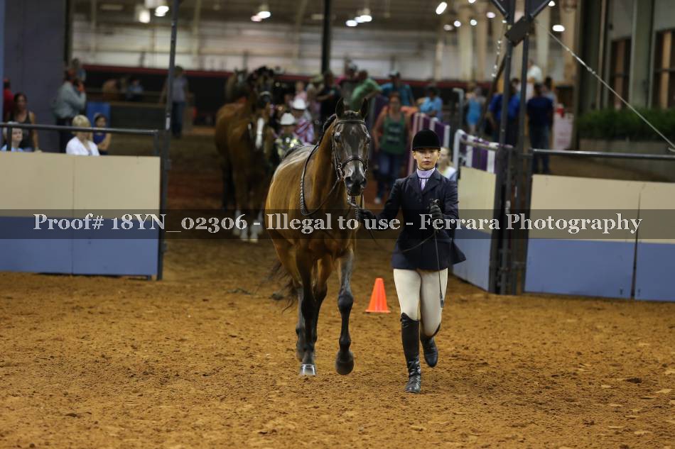 Proof 18YN_02306