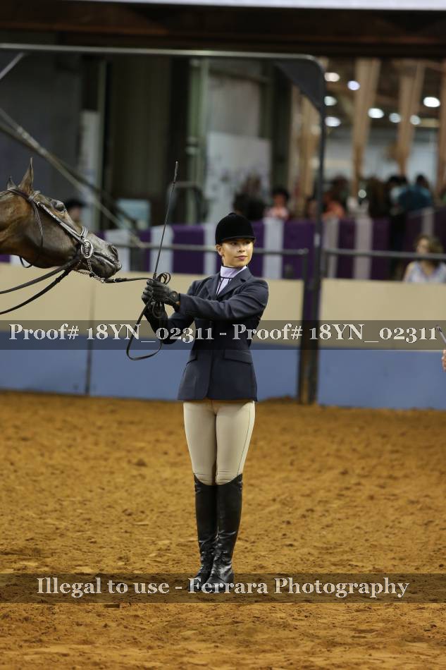 Proof 18YN_02311