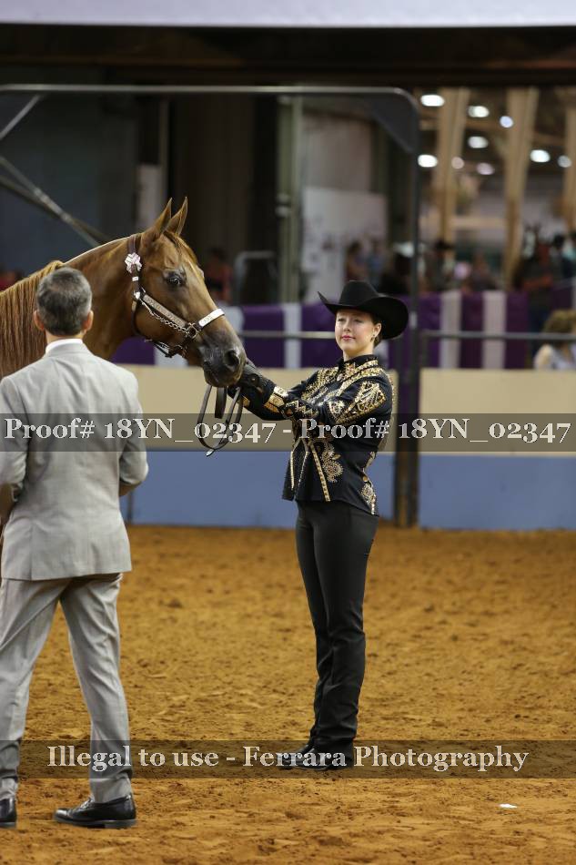 Proof 18YN_02347