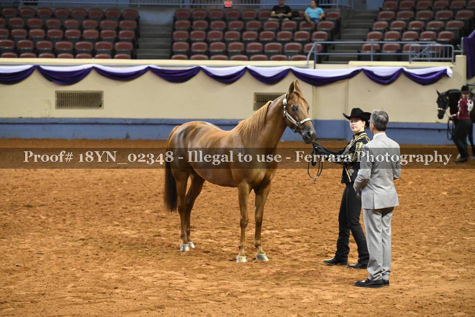 Proof 18YN_02348