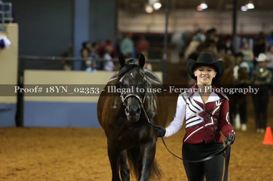 Proof 18YN_02353