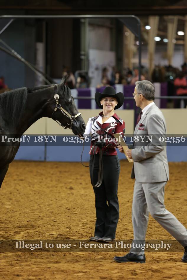 Proof 18YN_02356