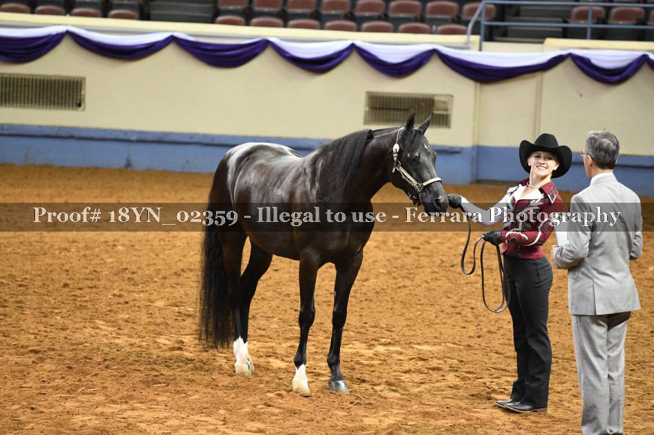 Proof 18YN_02359