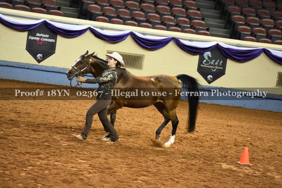 Proof 18YN_02367