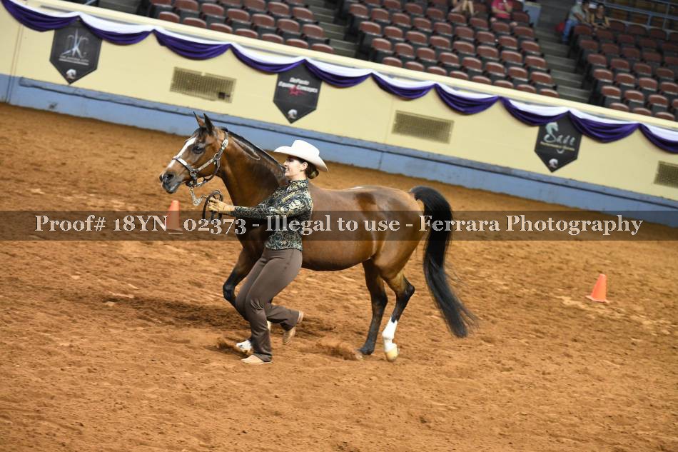 Proof 18YN_02373