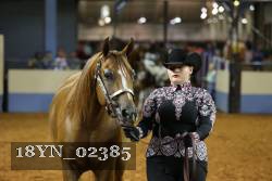 18YN_02385 proof