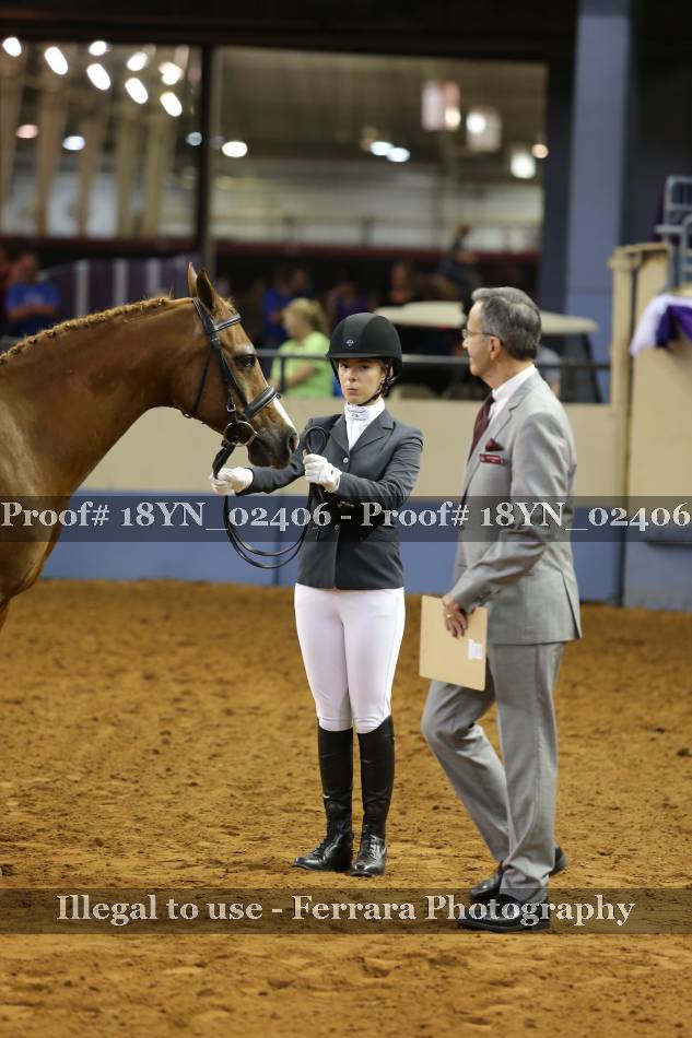 Proof 18YN_02406