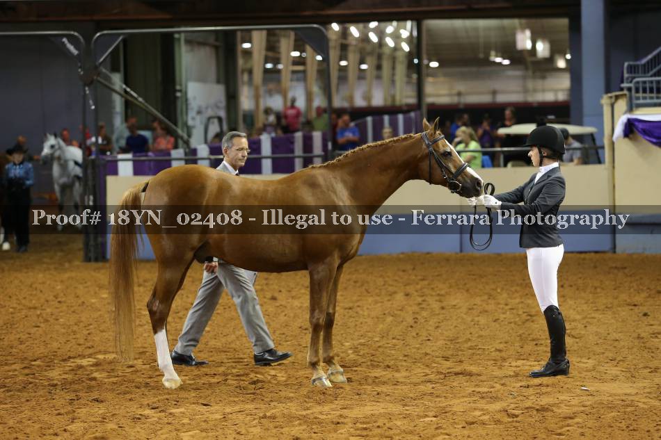 Proof 18YN_02408