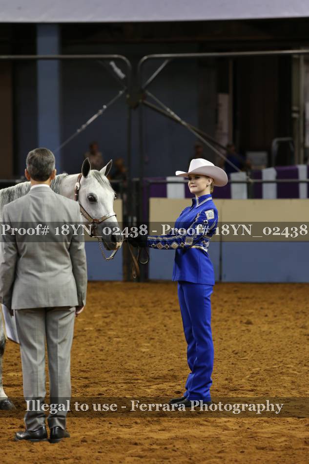 Proof 18YN_02438