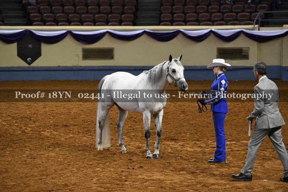 Proof 18YN_02441