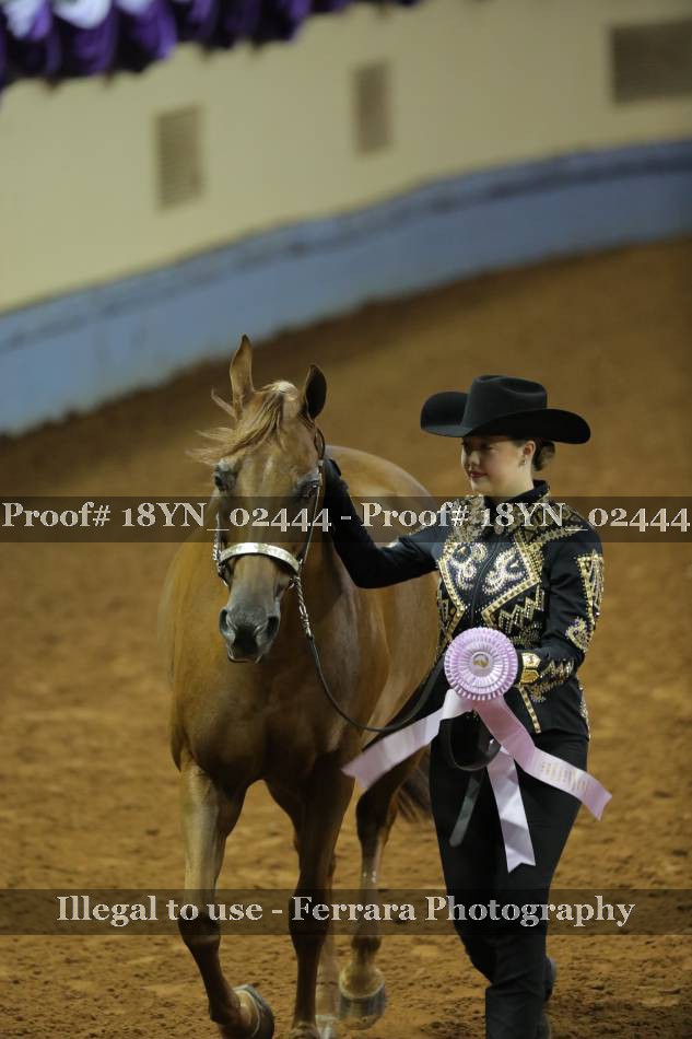 Proof 18YN_02444