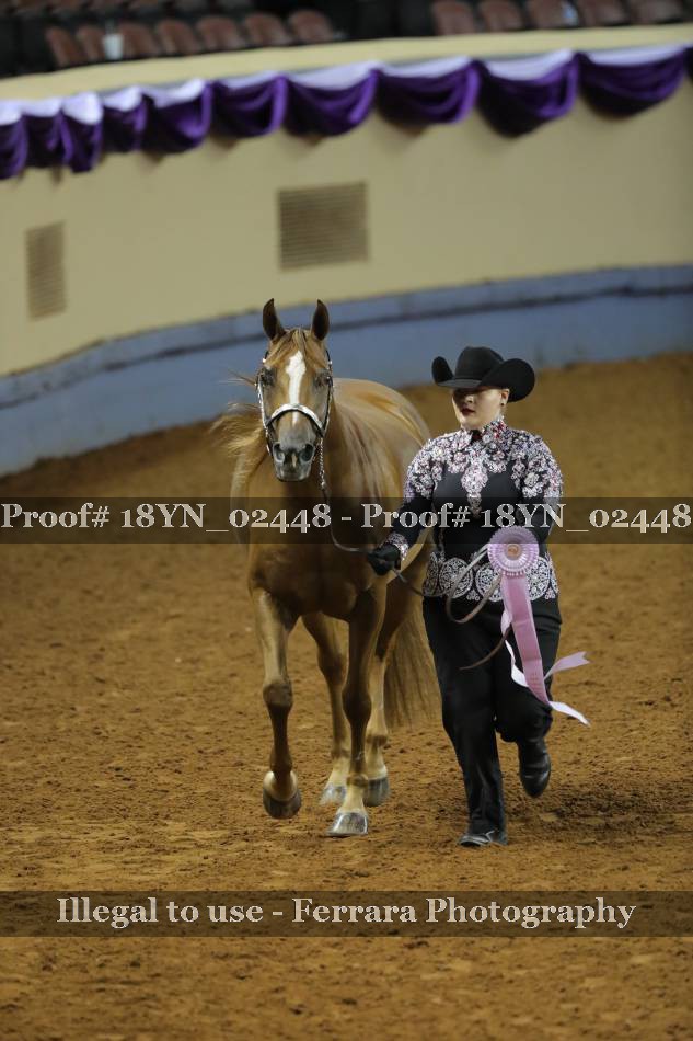 Proof 18YN_02448