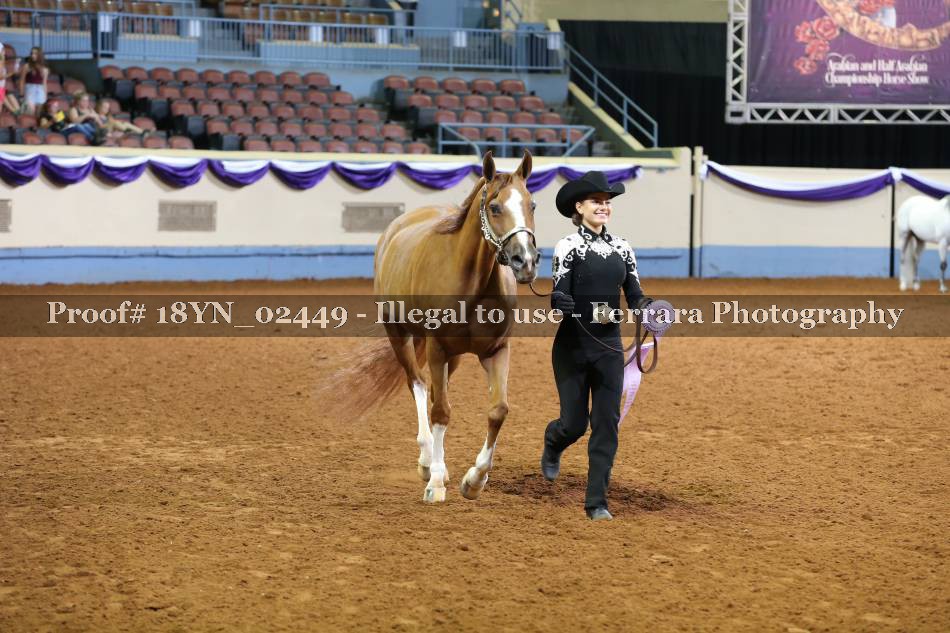Proof 18YN_02449