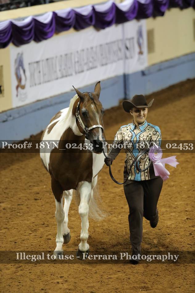 Proof 18YN_02453