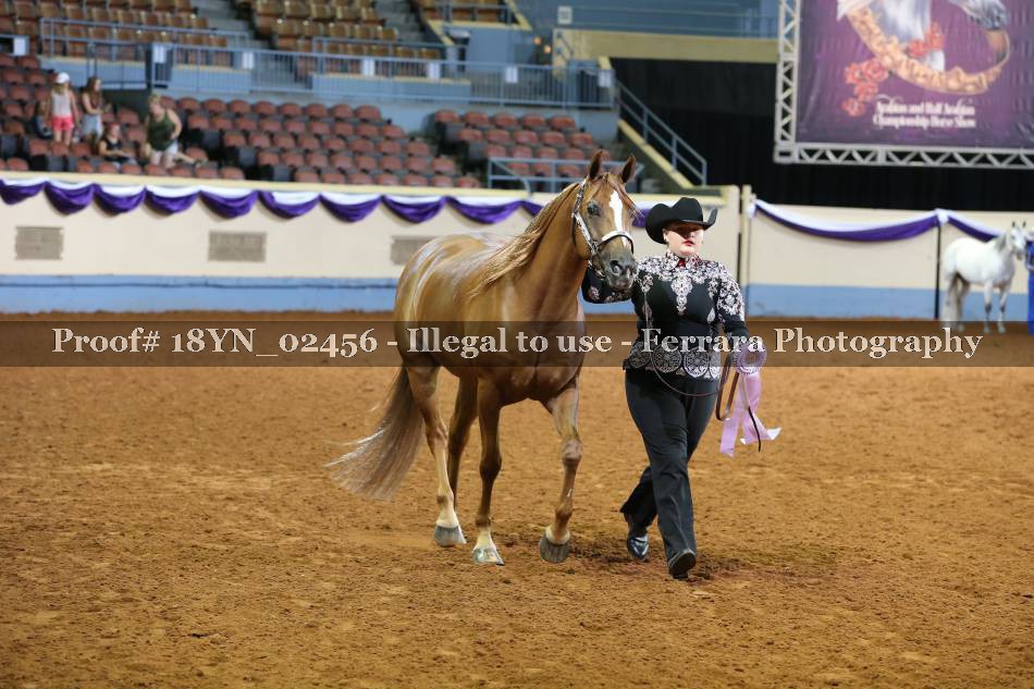 Proof 18YN_02456