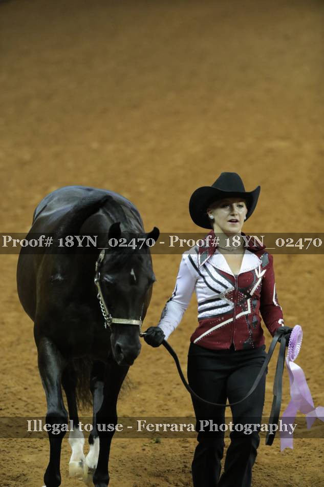 Proof 18YN_02470