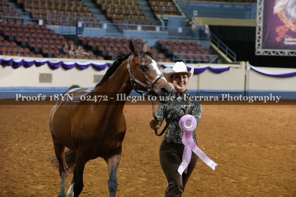 Proof 18YN_02472