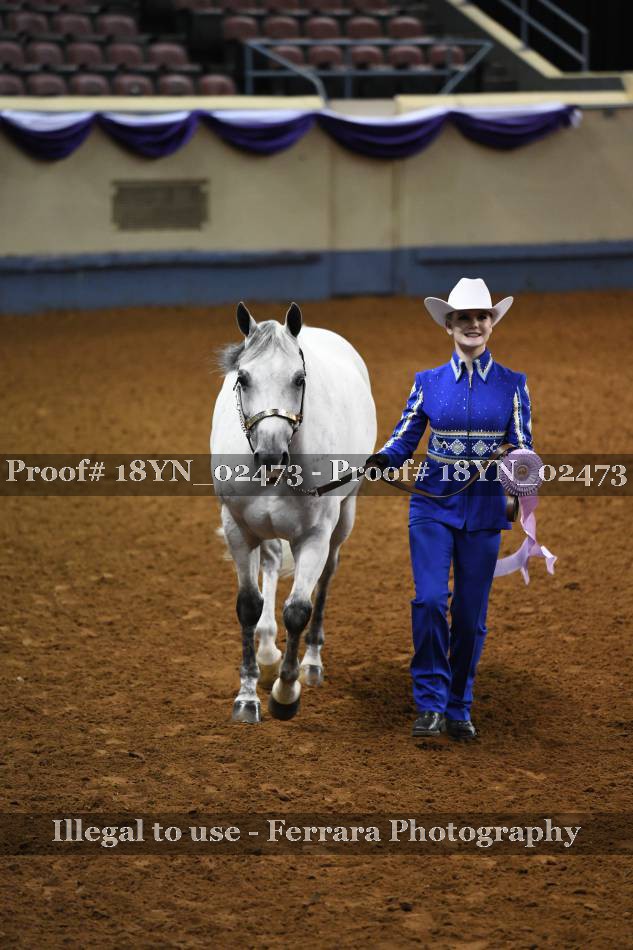 Proof 18YN_02473
