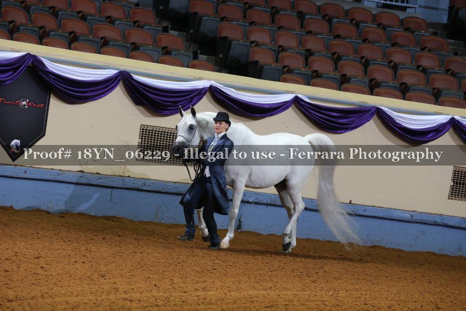 Proof 18YN_06229