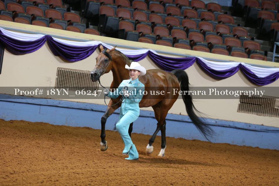 Proof 18YN_06247