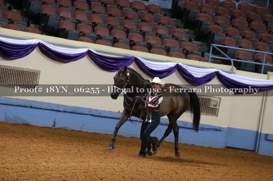 Proof 18YN_06255