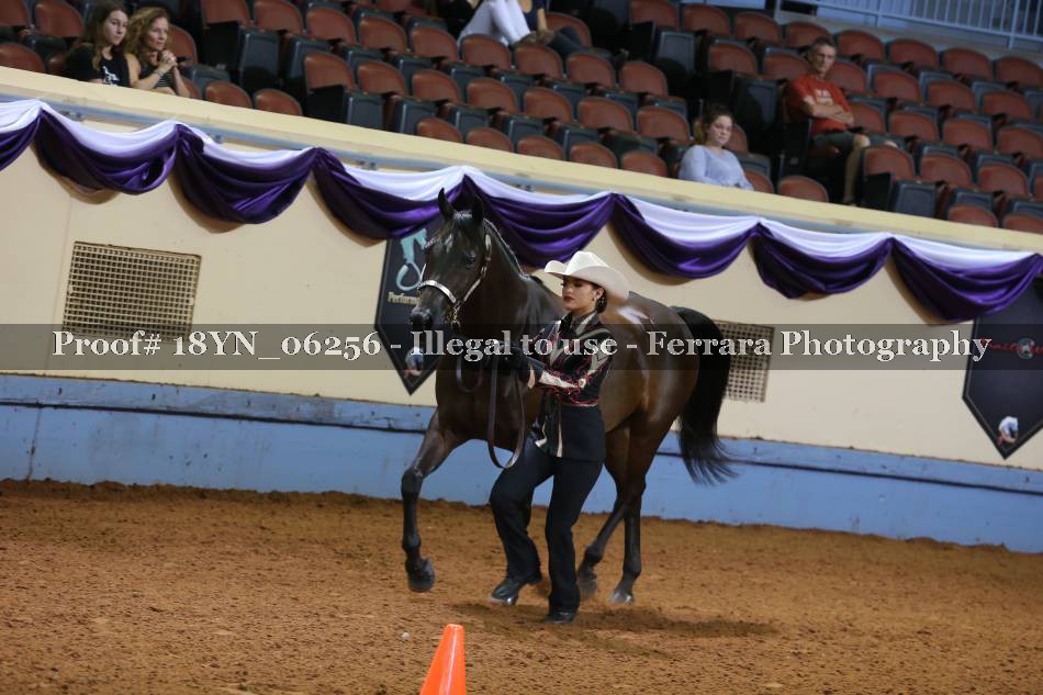 Proof 18YN_06256
