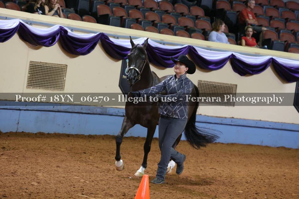 Proof 18YN_06270