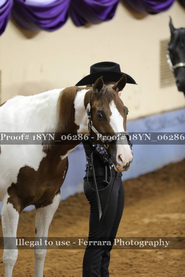 Proof 18YN_06286