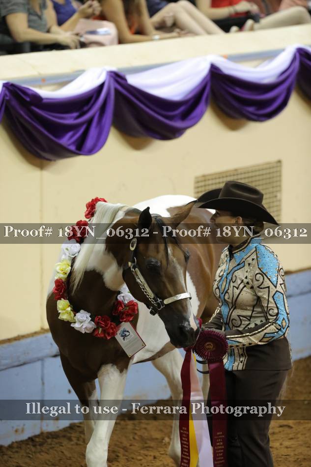 Proof 18YN_06312