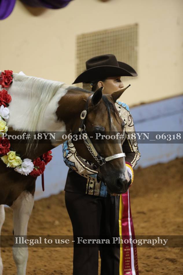Proof 18YN_06318