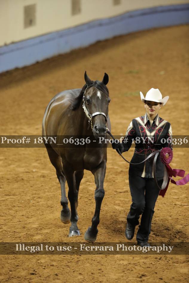 Proof 18YN_06336
