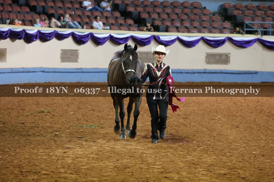 Proof 18YN_06337