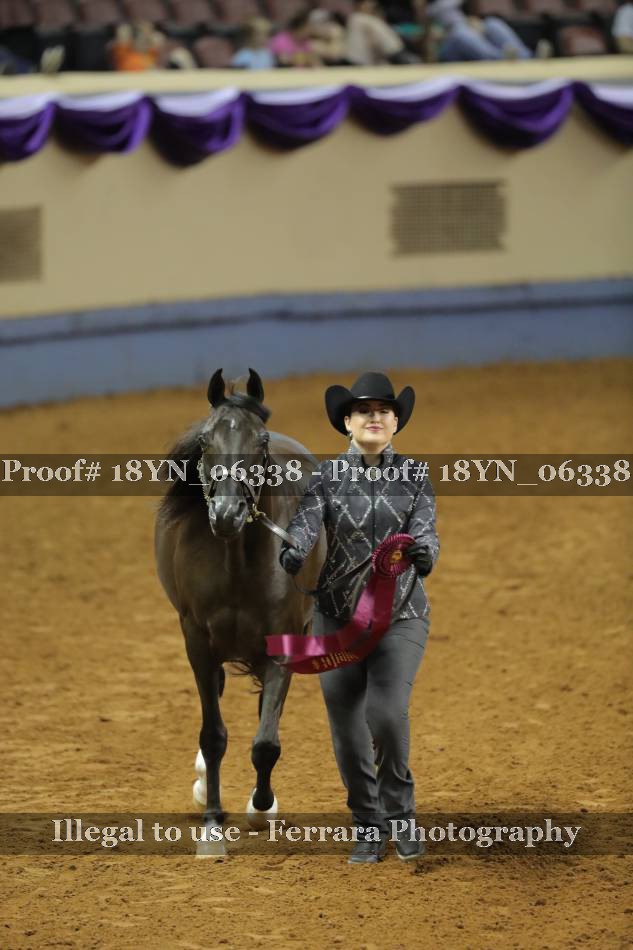 Proof 18YN_06338