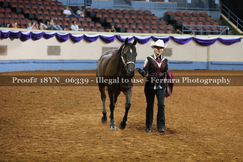 Proof 18YN_06339