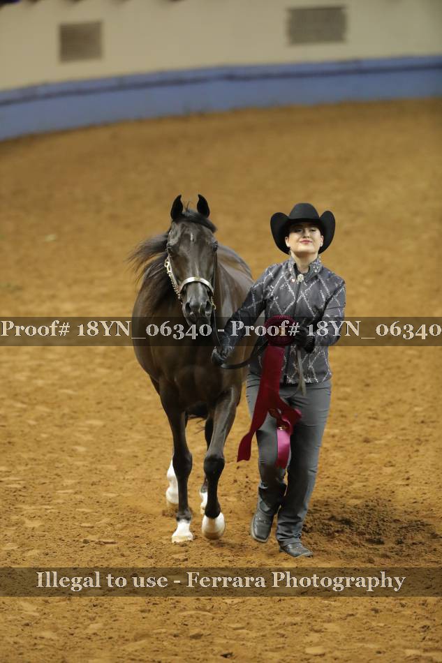 Proof 18YN_06340